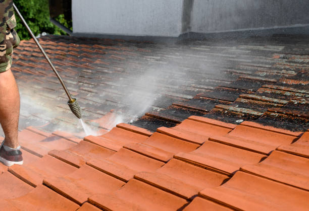 Best Roof Pressure Washing  in Laurel, MS