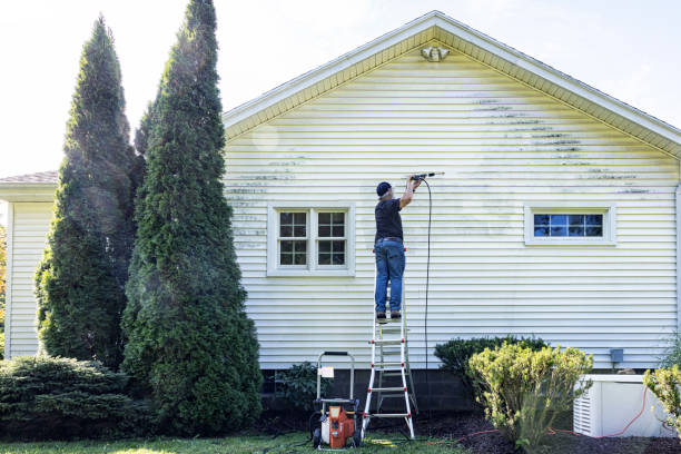 Best Affordable Pressure Washing  in Laurel, MS