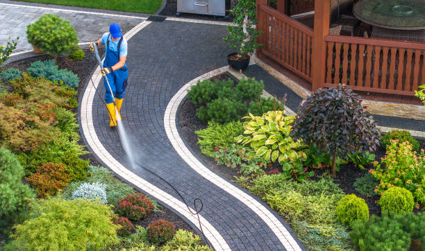 Best Residential Pressure Washing Services  in Laurel, MS